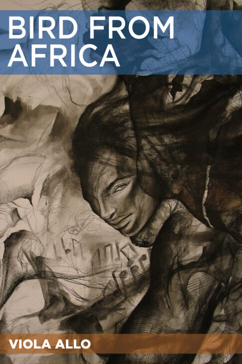 Bird From Africa by Viola Allo
